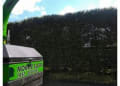 Norrie Sloan Tree Services logo