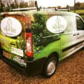 Willow Tree Services And Landscaping logo