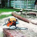 Bostock Total Tree Services logo