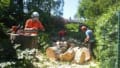 Macclesfield Tree Care logo