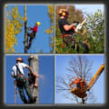 Tree Removal London logo