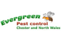 Evergreen Pest Control logo