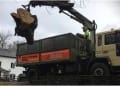 Beaver Tree Surgeons logo