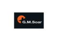 G.m.soar logo