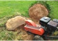 M.j.c Tree Care logo