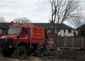 Dw Tree Services. logo