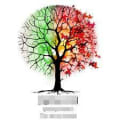 Avalon Tree Surgery logo