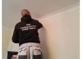 Jays Painting Services logo