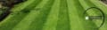 Dan Frazer Gardening logo