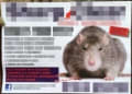 Sharp Clear Pest Control logo