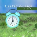 Celtic Alarms logo