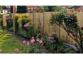 Tjs Fencing & Garden Maintenance logo