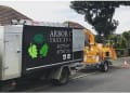 Arbor Cura Tree Surgery logo
