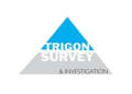 Trigon Survey & Investigation. logo