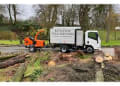 Ben Lewis Tree Services logo