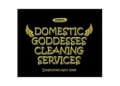 Domestic Goddesses Cleaning Services logo