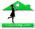 A Sparkling Clean logo