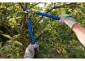 Bright Tree Care logo