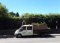 All Seasons Garden And Tree Services logo