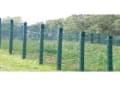 Airedale Fencing logo