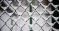 Guardian Fencing logo
