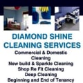 Diamond Shine Cleaning Services. logo