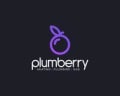 Plumberry Services logo