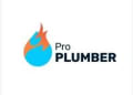 Pro Plumber In Town logo