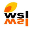 Welding Services logo