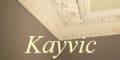 Kayvic logo