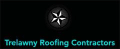 Trelawny Roofing logo