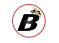 Britannic Environmental Services Logo