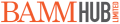 BAMM HUB logo