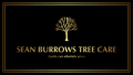 SB Tree Care logo