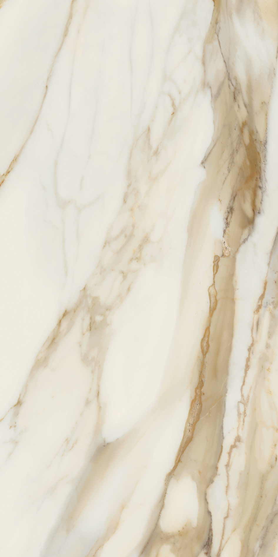  Dalia Versilia Gold  Smooth 60x120cm