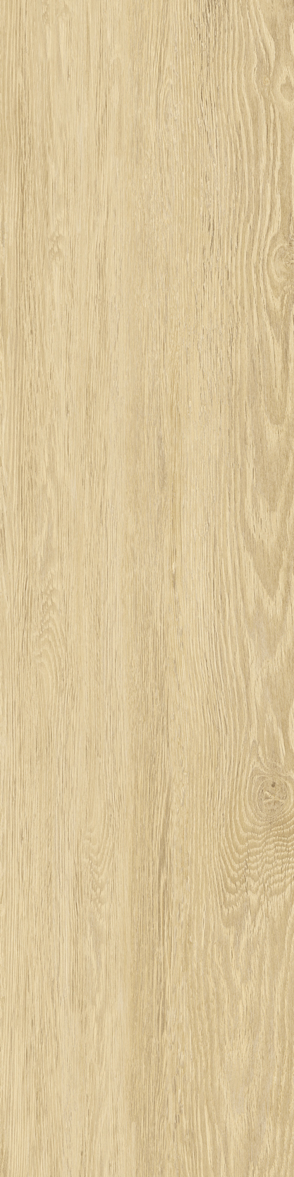  Blush Honey   30x120cm