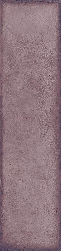  Atlas Orchid  Luc 5x20cm