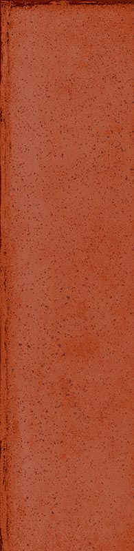  Atlas Coral   Luc 5x20cm