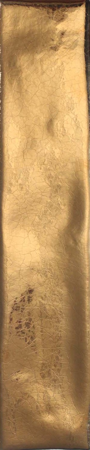  Bling Gold  Glossy 5x25cm