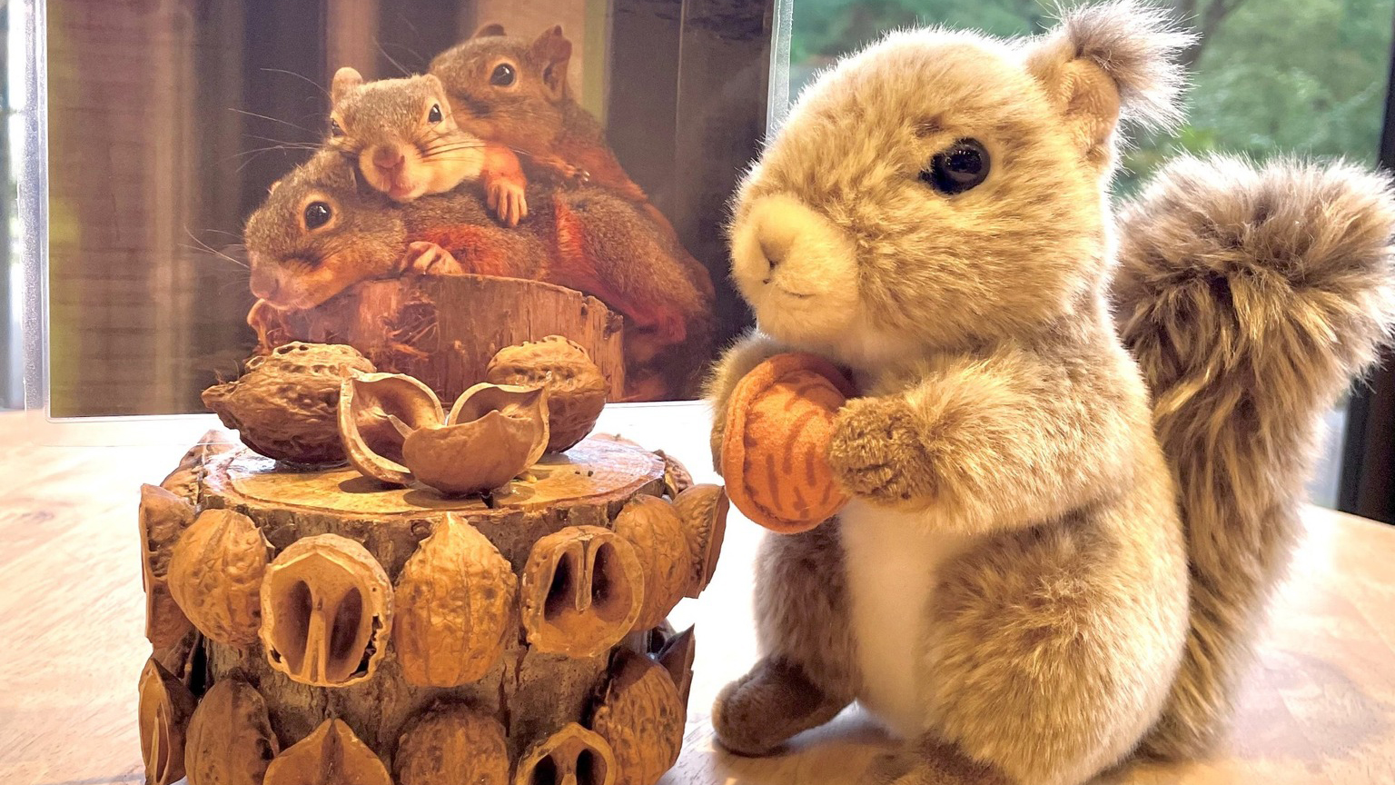 リスのクルミのカードスタンド研究室 イメージ