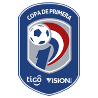 Campeonato Paraguaio logo Campeonato Paraguaio