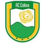 Logo of the Colina from Chile Colina