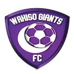 Logo do Wakiso Giants de Uganda Wakiso Giants