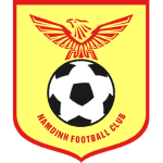 Logo of the Nam Dinh from Vietnam Nam Dinh
