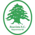 Logo do Boavista de Brazil Boavista logo