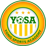 Logo of the Young Sport Academy from Cameroon Young Sport Academy logo
