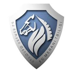 Logo of the Merani Tbilisi from Georgia Merani Tbilisi logo
