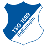 Logo of the Hoffenheim II from Germany Hoffenheim II logo
