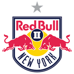 Logo of the New York RB II from USA New York RB II logo