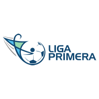 Primera Division logo Primera Division logo